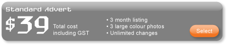 Create Standard Advert